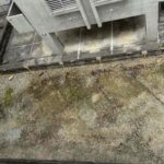 Gemini_Generated_Image_a77lrqa77lrqa77l