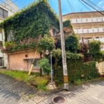 Gemini_Generated_Image_lrqvoulrqvoulrqv