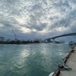 LINE_ALBUM_ライオンズマンション泊801号室_260213_21