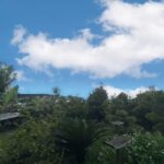 LINE_ALBUM_与根戸建_250413_5