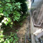 LINE_ALBUM_沖縄市美里（差替、追加）_251111_1