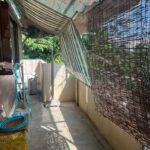 LINE_ALBUM_沖縄市美里（差替、追加）_251111_10