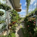 LINE_ALBUM_沖縄市美里（差替、追加）_251111_3