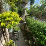 LINE_ALBUM_沖縄市美里（差替、追加）_251111_6