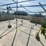 LINE_ALBUM_沖縄市美里（差替、追加）_251111_9