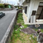 LINE_ALBUM_西原我謝_260220_1